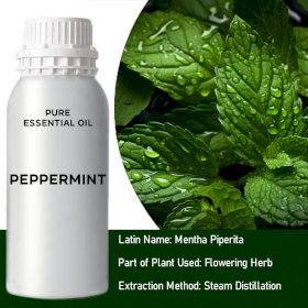 Peppermint 0.5Kg