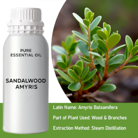 Sandalwood Amayris 0.5Kg