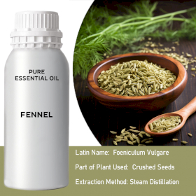 Fennel  0.5Kg