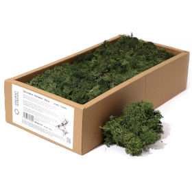 Quality Decoration Reindeer Moss - Grass Green - 635g Box