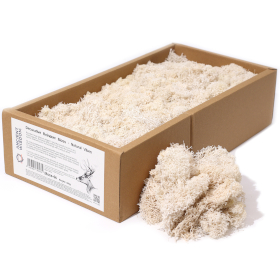 Quality Decoration Reindeer Moss - Natural Vibes - 635g Box