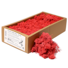 Quality Decoration Reindeer Moss - Fire Red - 635g Box