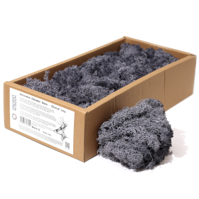 Quality Decoration Reindeer Moss - Charcol Grey - 635g Box