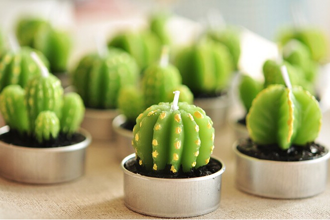 Cactus Candles