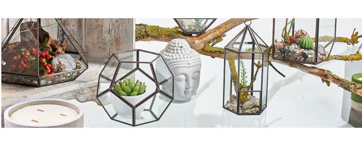 Glass Terrariums