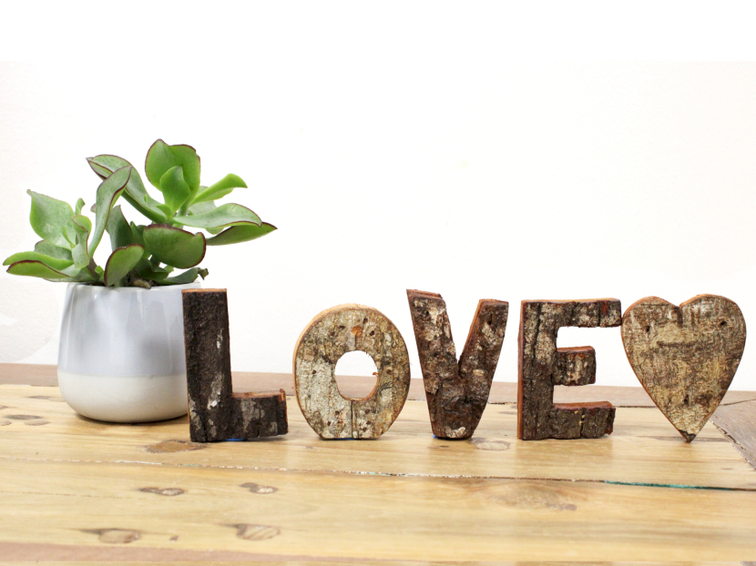 Rustic Bark Letters and Numbers Display