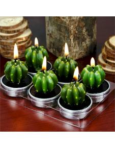 Cactus Candles