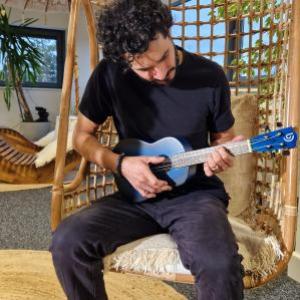 Artisan Made Ukuleles